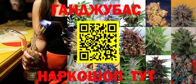 крисы Бузулук
