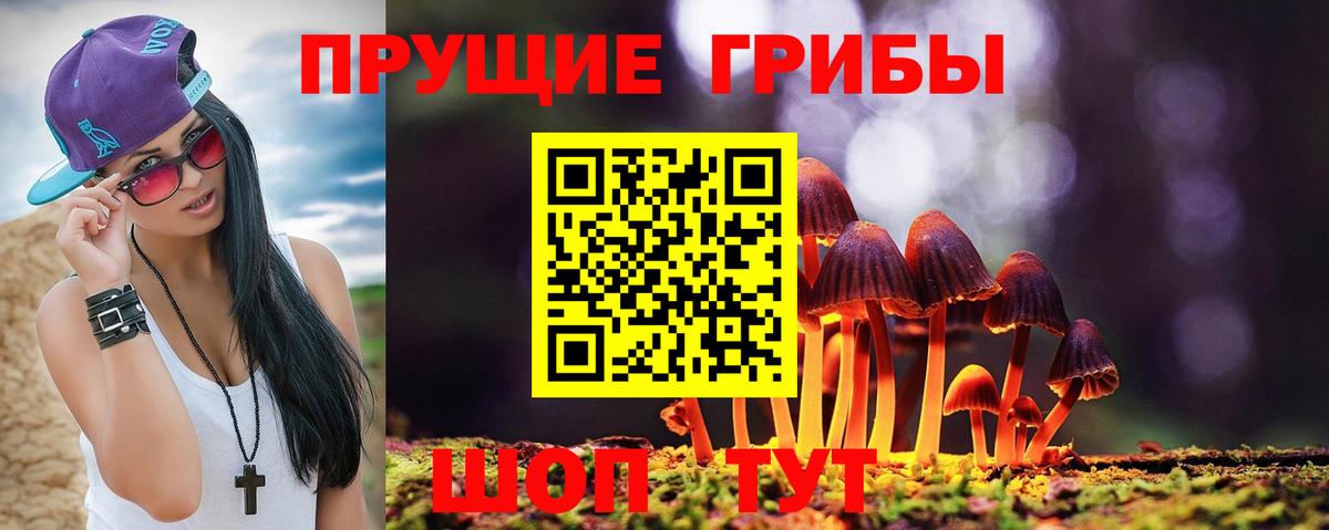 Галлюциногенные грибы Cubensis  магазин продажи наркотиков  Кулебаки  Вход с VPN 