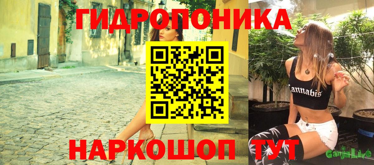 Бошки марихуана планчик  Бошки Шишки тримм  Шишки марихуана марихуана  Кулебаки  Вход с VPN  Конопля планчик 